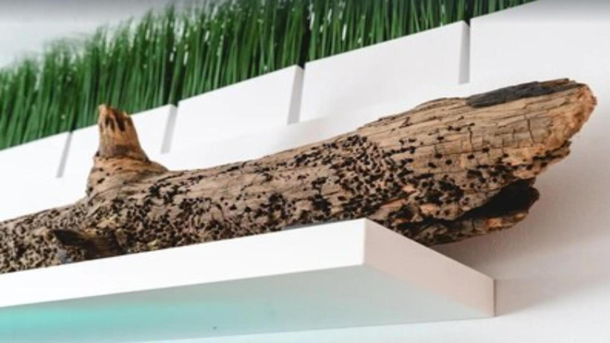 108 Loft Bradentonヴィラ エクステリア 写真